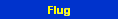 Flug